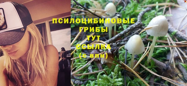 амфетамин Алексеевка