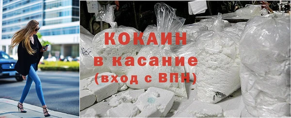 крисы Алексин