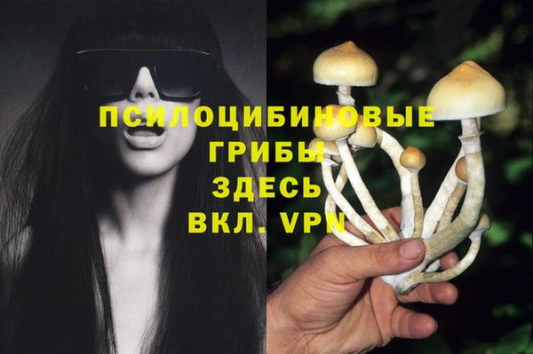 амфетамин Алексеевка