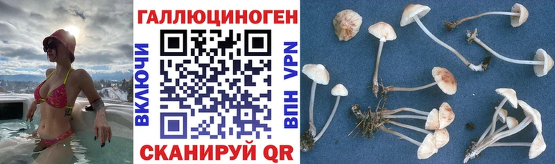 наркотики  Палласовка  Псилоцибиновые грибы Magic Shrooms 