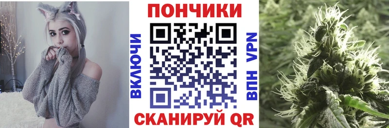 darknet как зайти  Палласовка  Бошки марихуана ГИДРОПОН 
